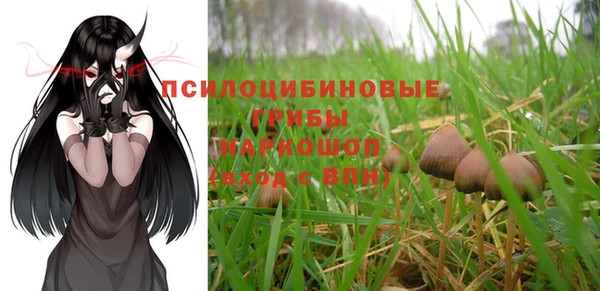 круглые Абаза