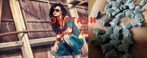 ECSTASY Алзамай