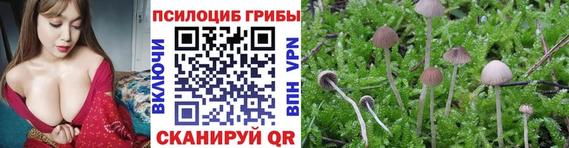 Псилоцибиновые грибы прущие грибы  Невельск 